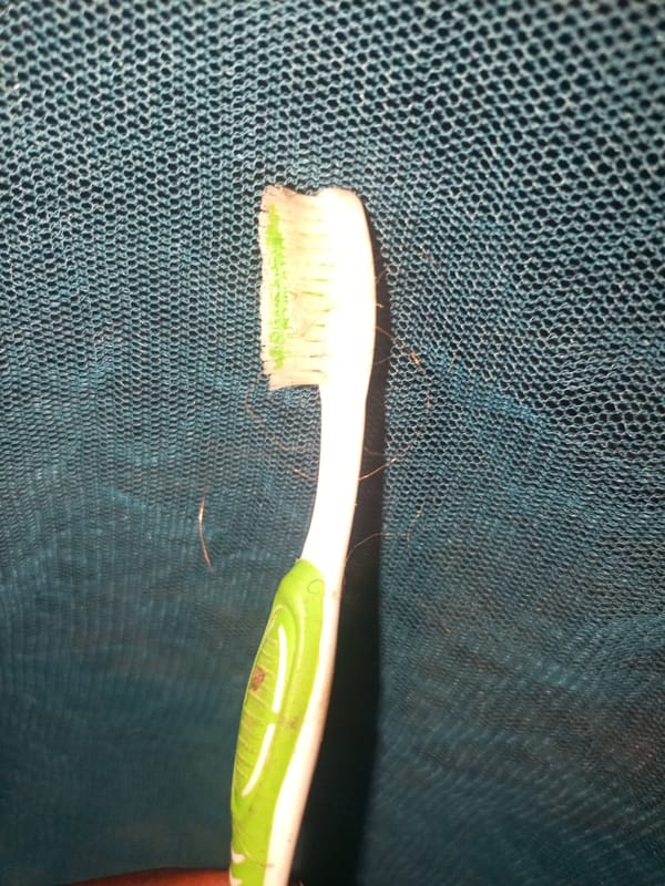 Close-up of a used green and white toothbrush