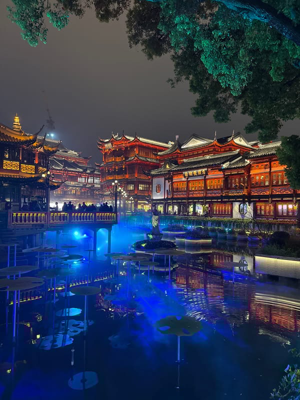 Traditional Chinese building reflected in Shanghai waters at night