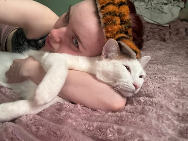 Cozy afternoon in bed with a cat, Russia