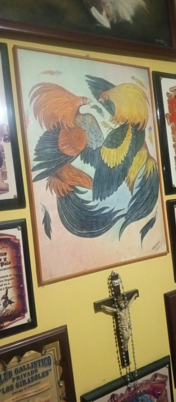 Folk art collection documented on yellow wall in Tinaquillo