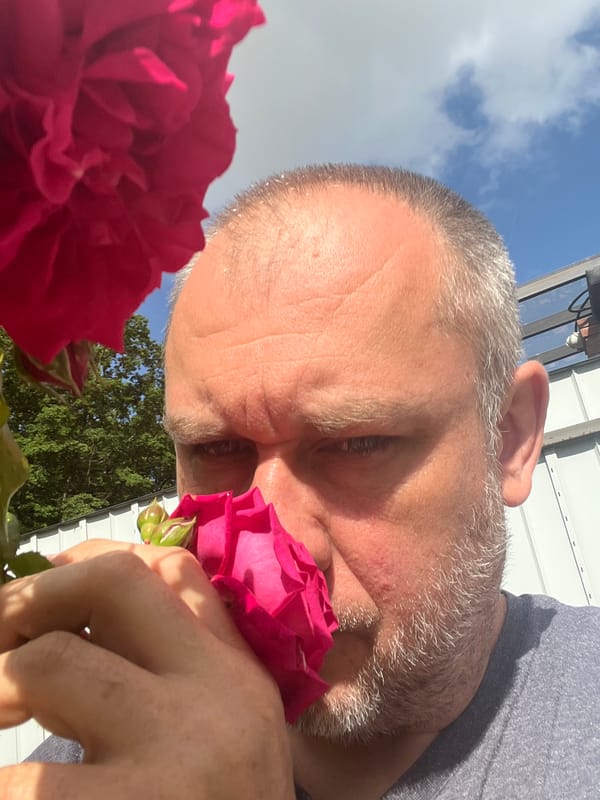 Morning moments: roses, pets, quiet life in Russian town