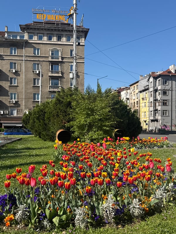 Spring morning scenes documented in central Sofia, Bulgaria