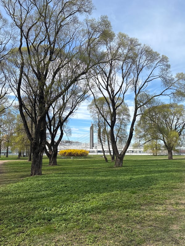 Spring afternoon park scene documented in Saint Petersburg