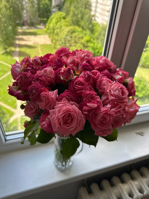 Morning domestic life documented across Minsk residential area