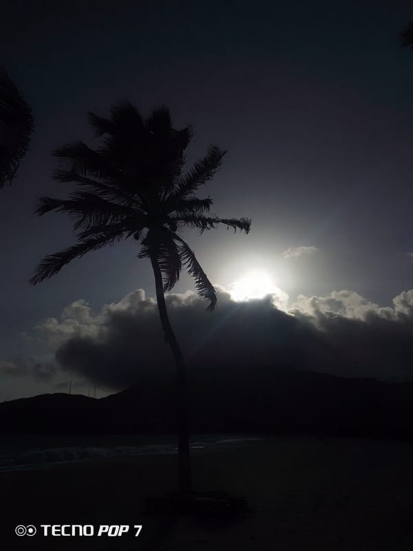 Tropical beach moments captured in Pedro González, Venezuela