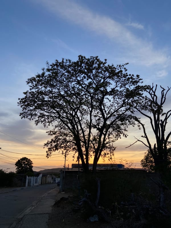 Sunset scenes captured in Juan Griego, Venezuela