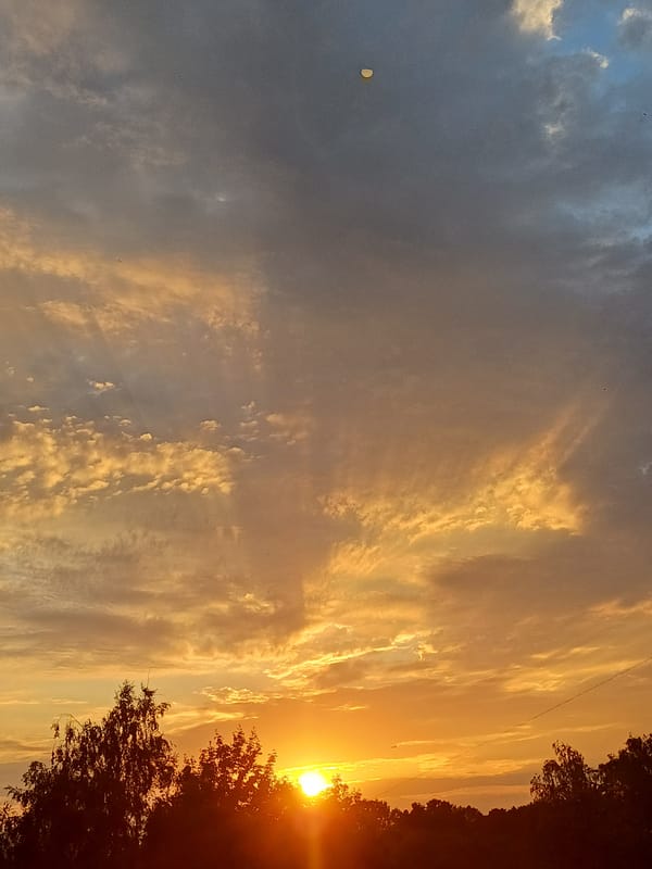 Riga sunset sky, shot from multiple angles — plus one hamster