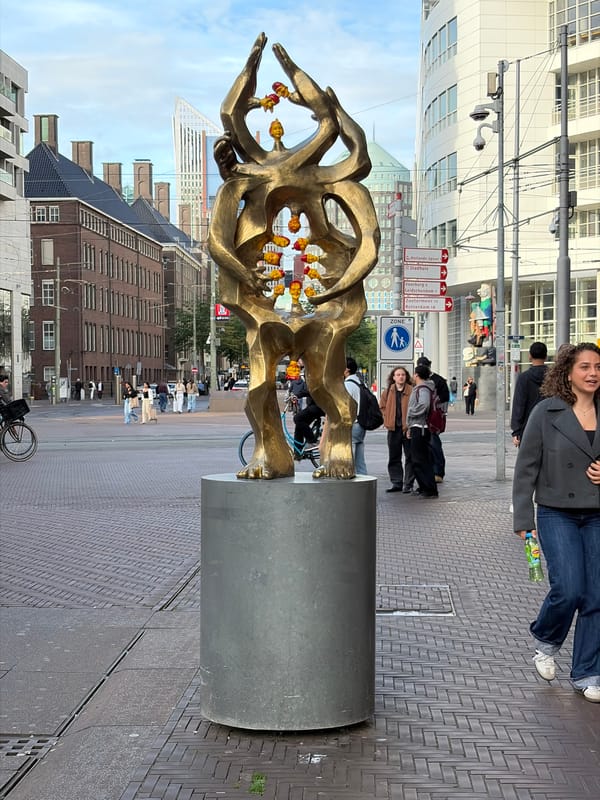 Person documents public art tour through The Hague city center