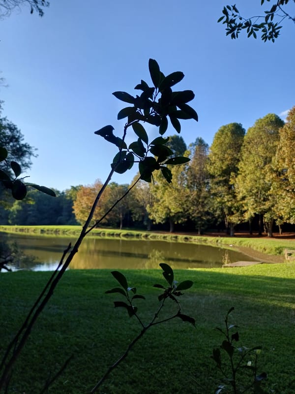 Evening park visit captured across Curitiba's green spaces