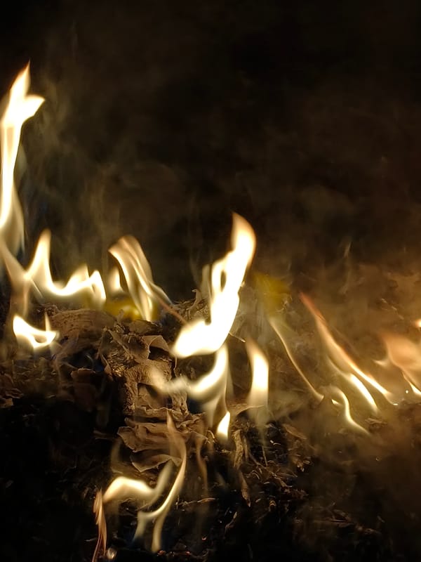 Spring evening moments captured in Kryvyi Rih: fire, flowers, twilight