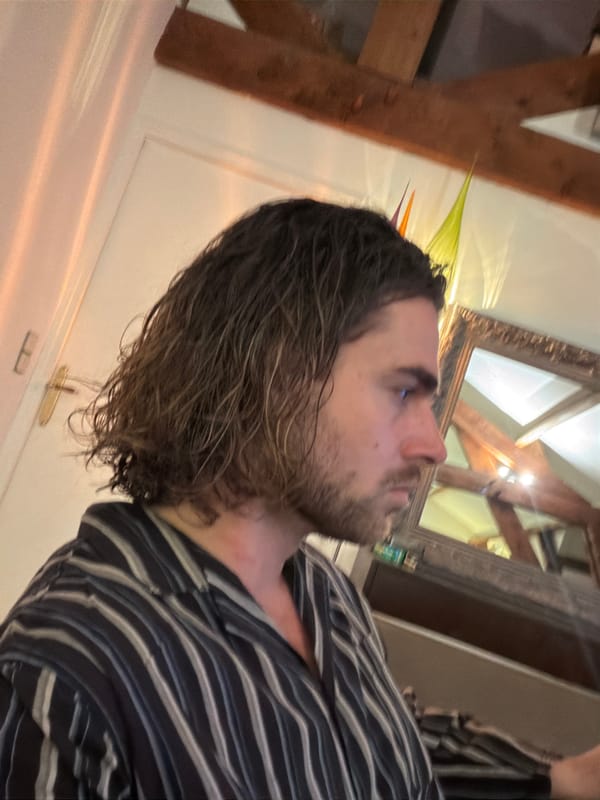 Person takes mirror selfies in Paris apartment room