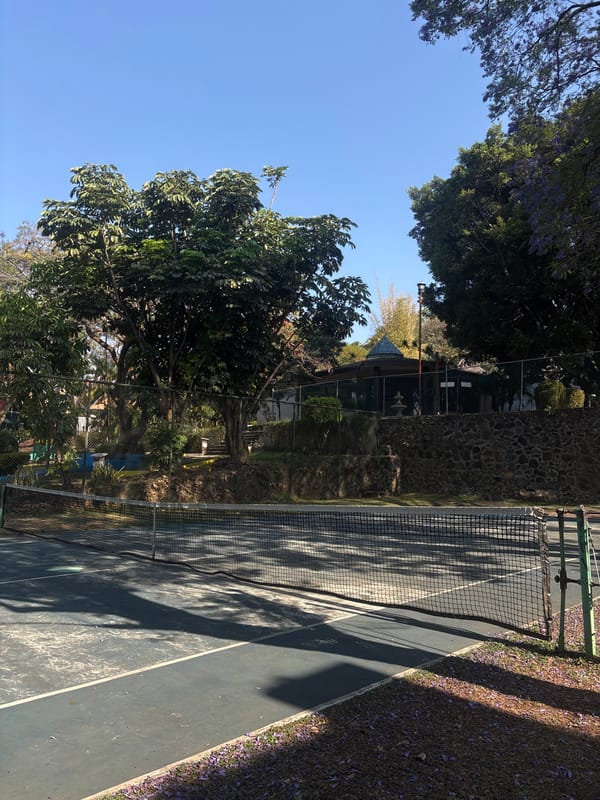 Tennis court amid lush vegetation documented in Cuernavaca