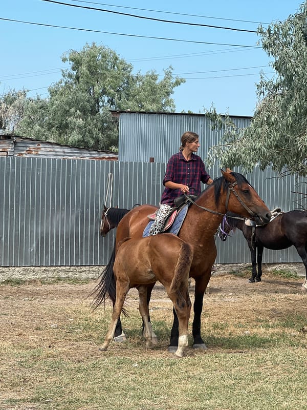 Horses and riders at an outdoor equestrian session in Ukraine