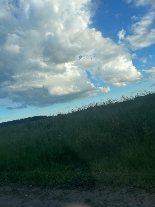 Driving through forested roads near Камское on a sunny afternoon