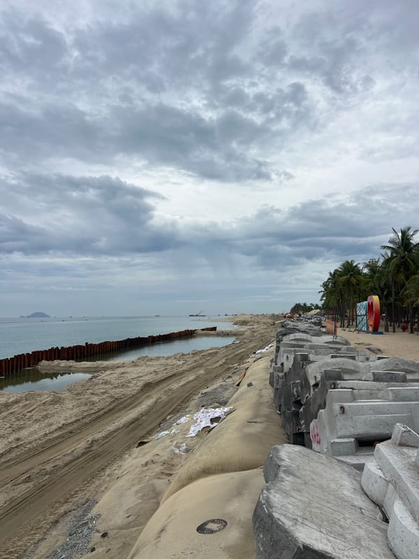 Hoi An beach: coastal barriers, thatched shade, and a rope swing