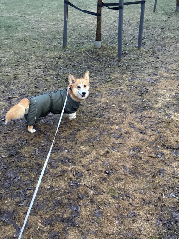 Overcast spring day documented along Votkinsk waterfront and walkways