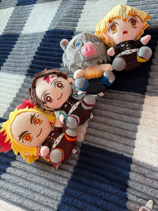 Anime collectibles and salon visit documented in Chaikovsky