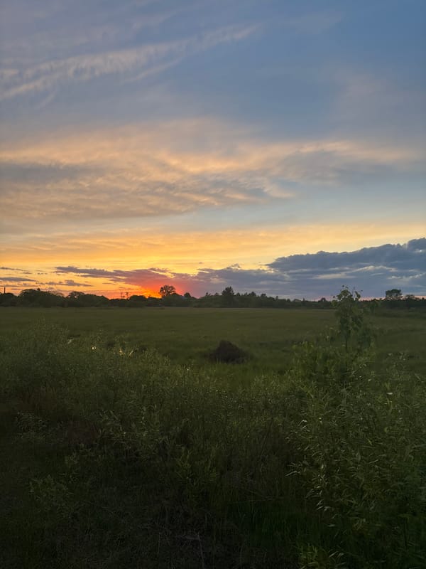 Sunset landscape photographed in Birobidzhan, Russia