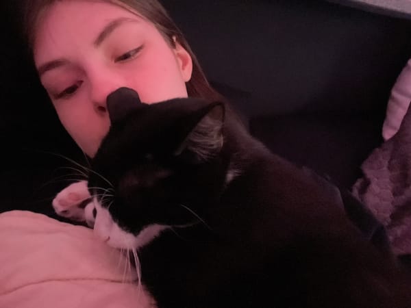 Person shares affectionate moments with tuxedo cat in Saint Petersburg