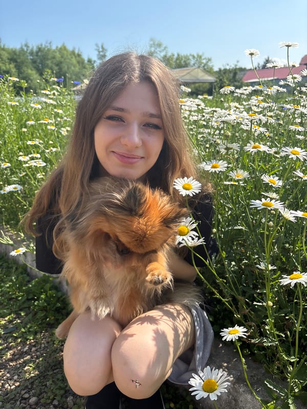 Summer day at a daisy-filled yard in Раздольное, Russia