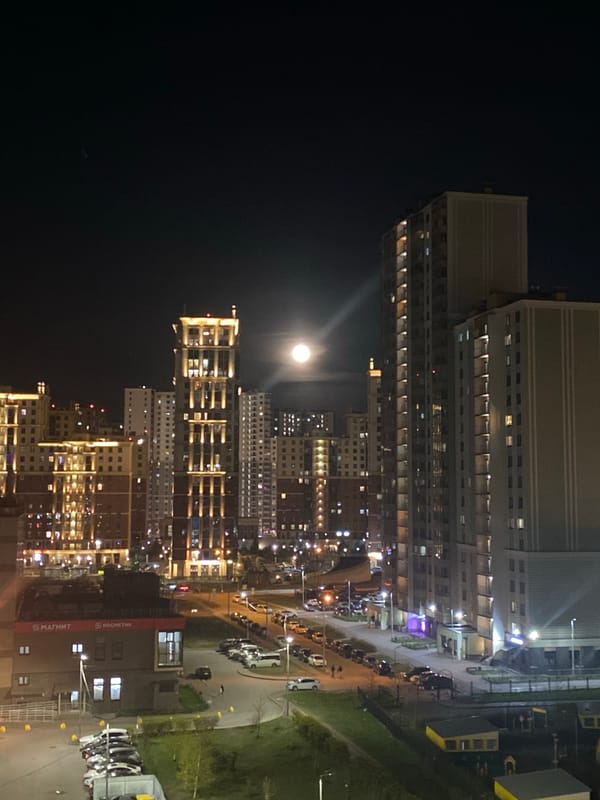 Saint Petersburg cityscape observed under moonlight evening hours