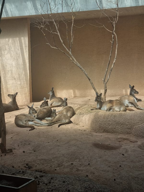 Zoo and aquarium visit documented in Schallstadt, Germany