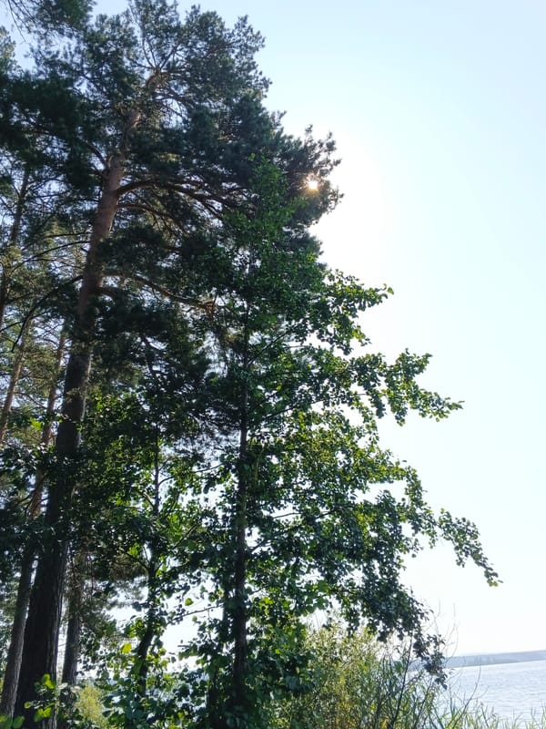 Sarafanovo, Russia