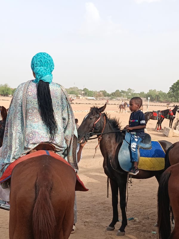 Traditional durbar horse festival celebrated in Giginyu, Nigeria