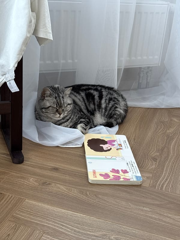 Cat naps beside children's book on wooden floor