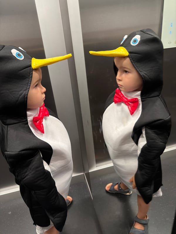 Mother and child in penguin costume spend afternoon in Budva