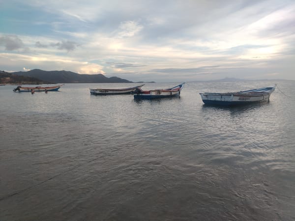 Fishing boats anchored at sunset off a calm coastal bay
