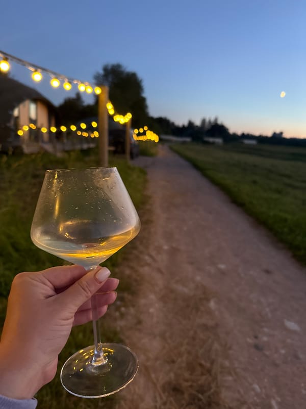 Summer evening gathering on a rural Russian property at dusk