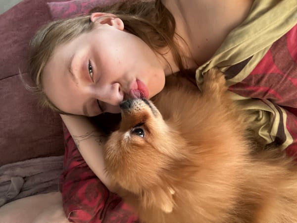 Woman and small dogs captured in quiet morning moments