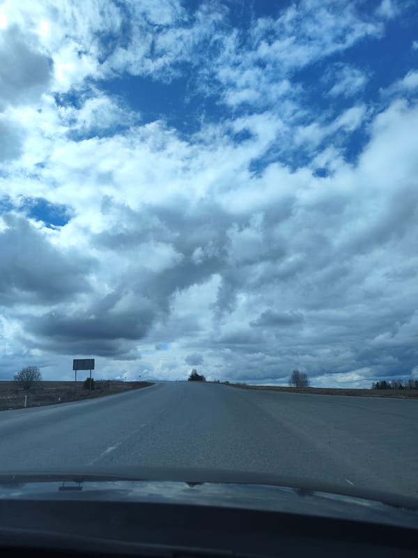 Morning drive through rural Niva countryside under cloudy skies