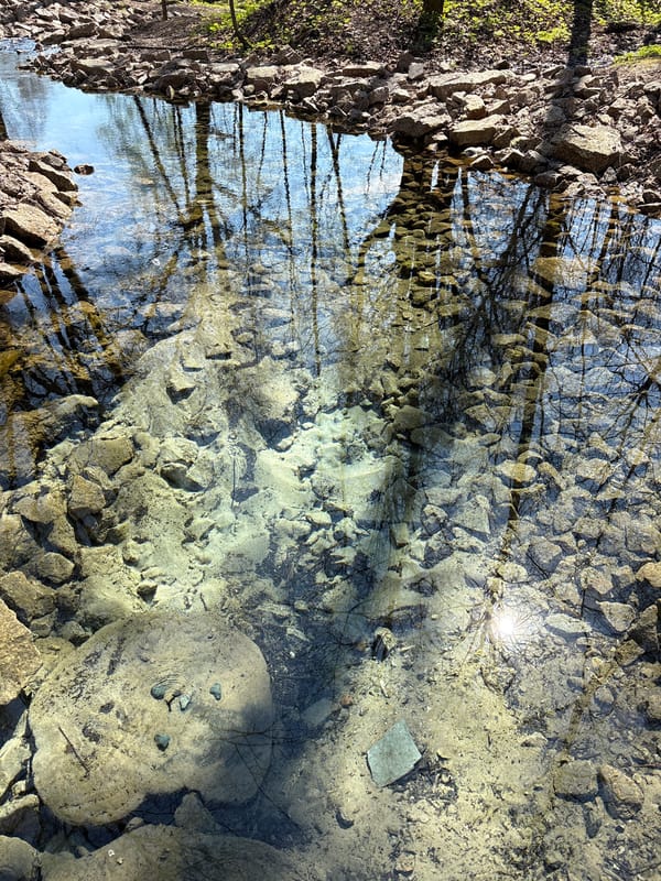 Spring morning stream documented in Russian forest village