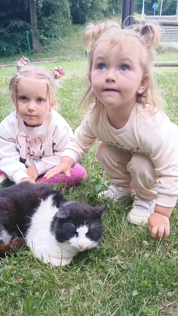 Kids and a cat on a Sokolov playground afternoon