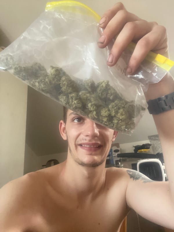 Cannabis buds weighed and displayed indoors in close detail