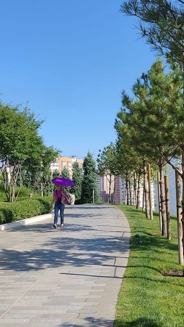 Busy morning at a landscaped urban park with paths and plazas