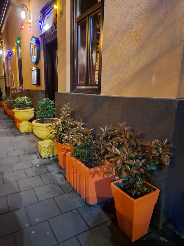 Nighttime street scenes documented in Novi Sad, Serbia