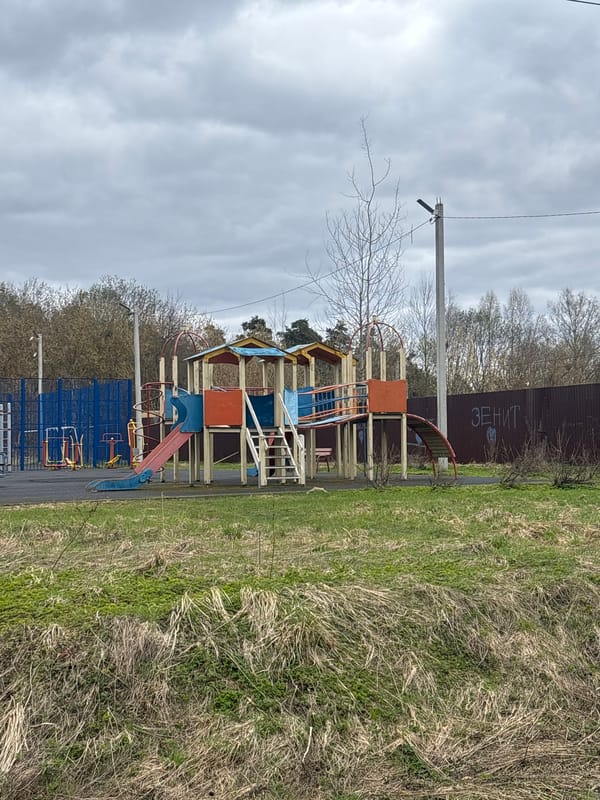 Daily life documented in rural Russian village Раздолье