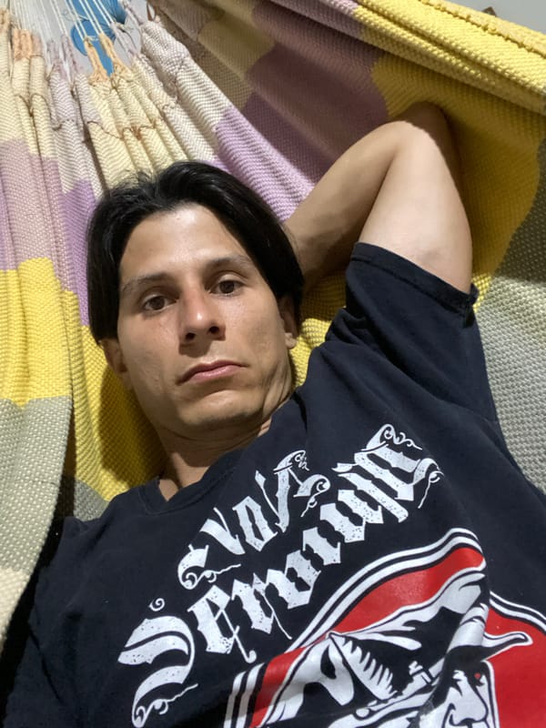 Brown moth spotted on mesh screen in Venezuela