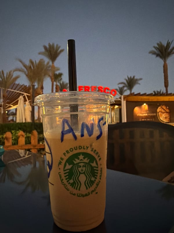 Evening out along Sharm El Sheikh's palm-lined restaurant strip