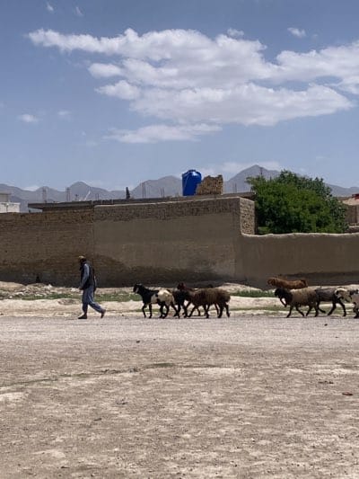 Traditional daily life continues in Quetta streets
