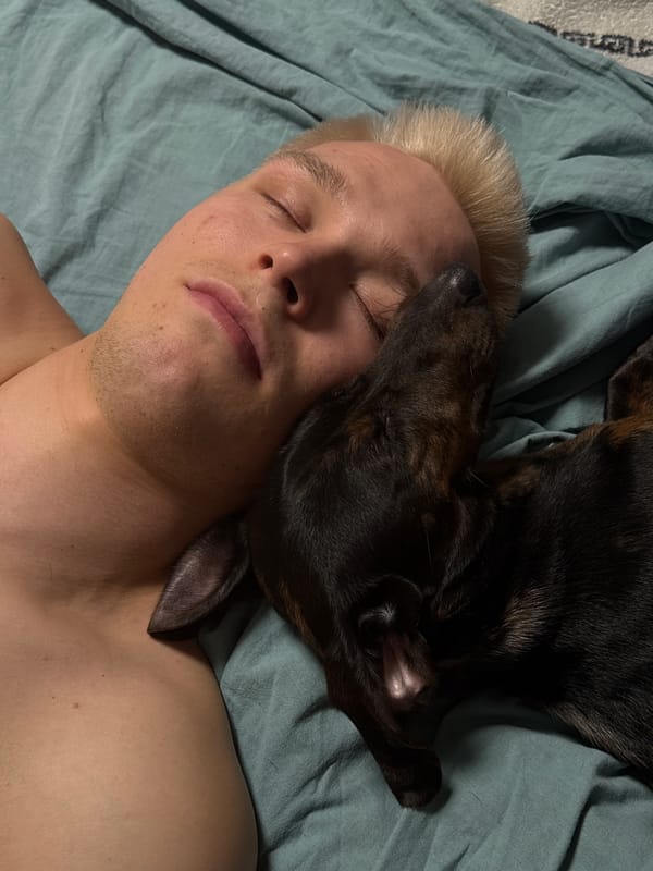 Man and dachshund share quiet afternoon rest in Noviy