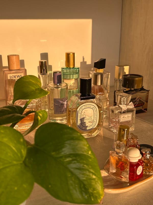 Luxury perfume collection displayed in San Bernardino Tlaxcalancingo