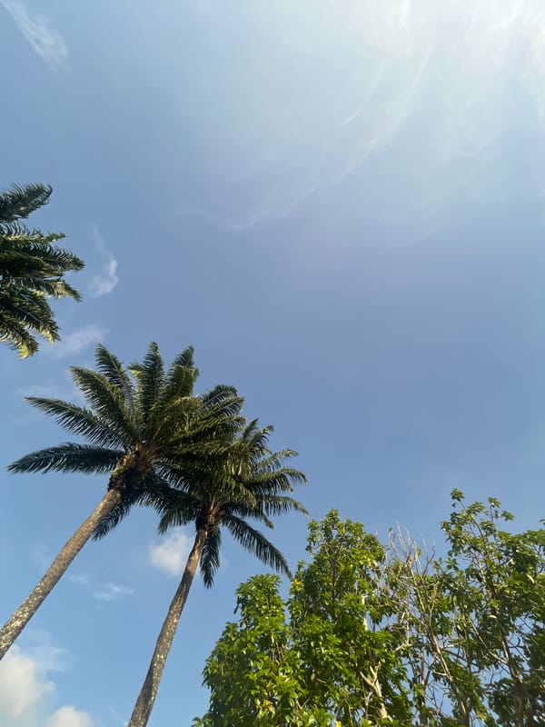 Morning scenes documented in Ikot Ekpene, Nigeria