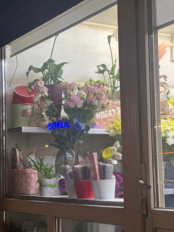Evening scenes captured in Stavropol: flowers, lights, motorcycle