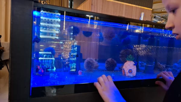 Evening dining scene with child, aquarium observed at Petersburg restaurant