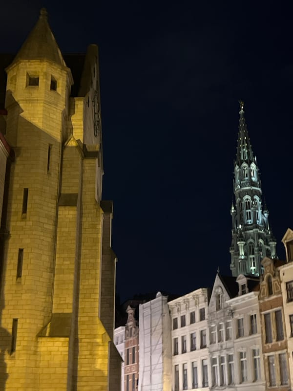 Brussels city center at night, landmarks lit up
