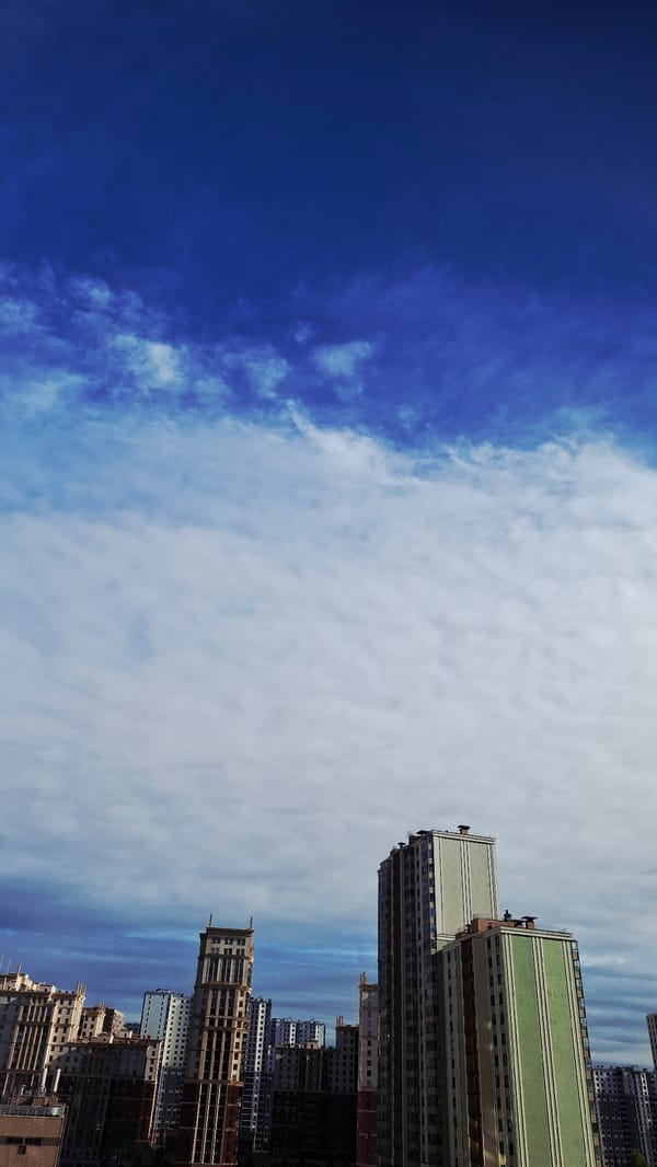 Afternoon scenes documented across Saint Petersburg neighborhoods